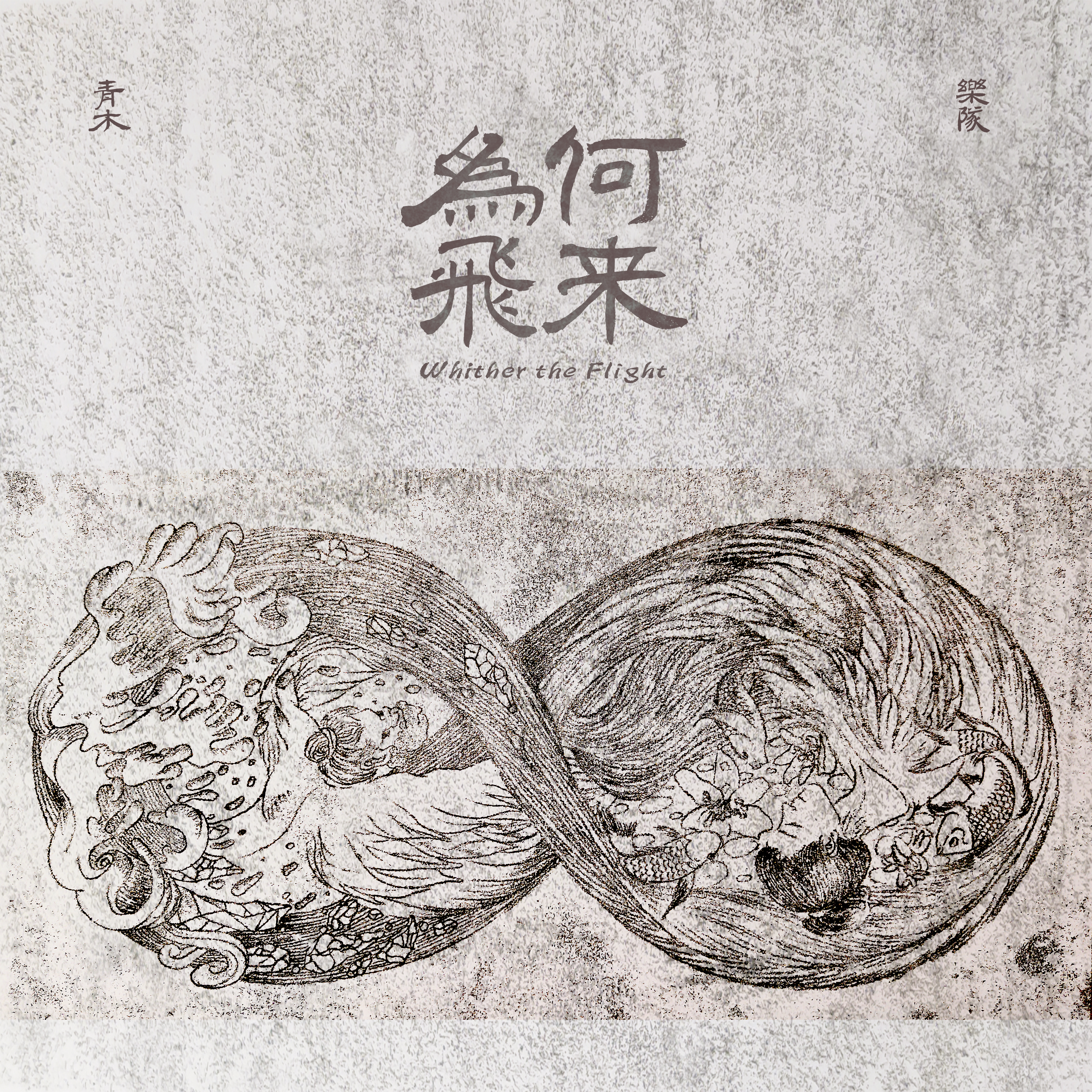 为何飞来